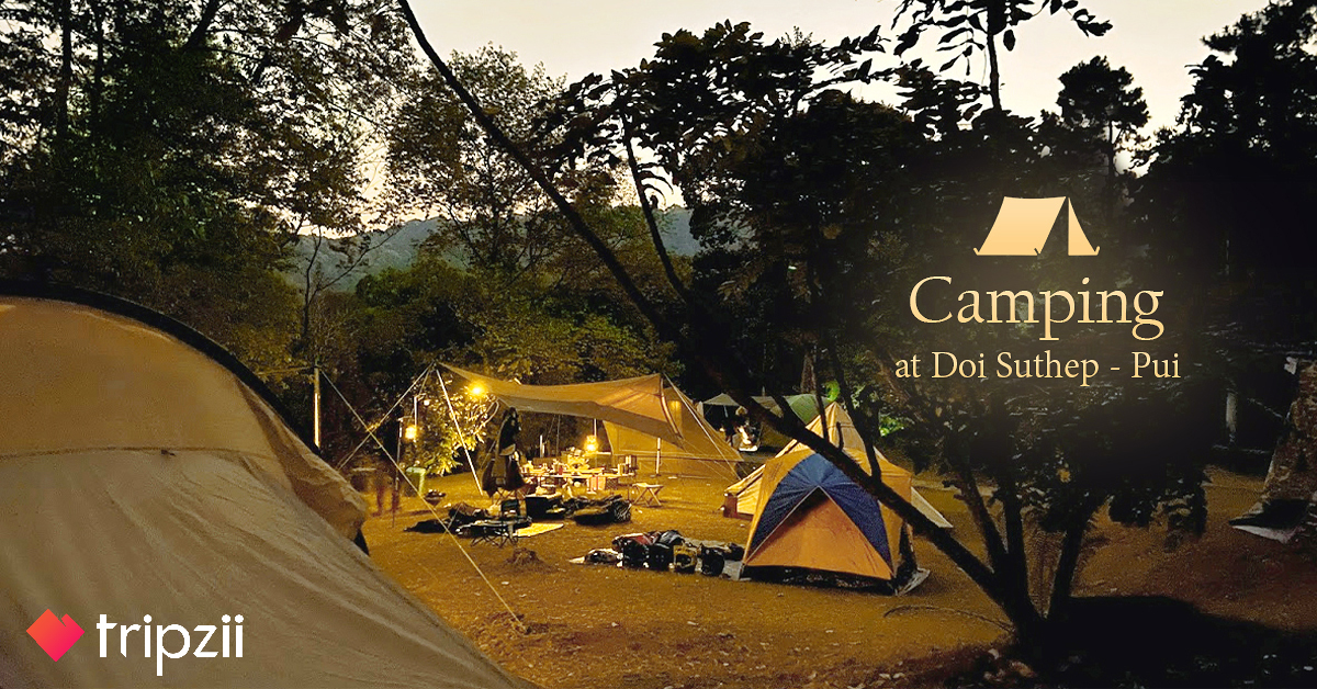 Camping at Doi Suthep – Pui